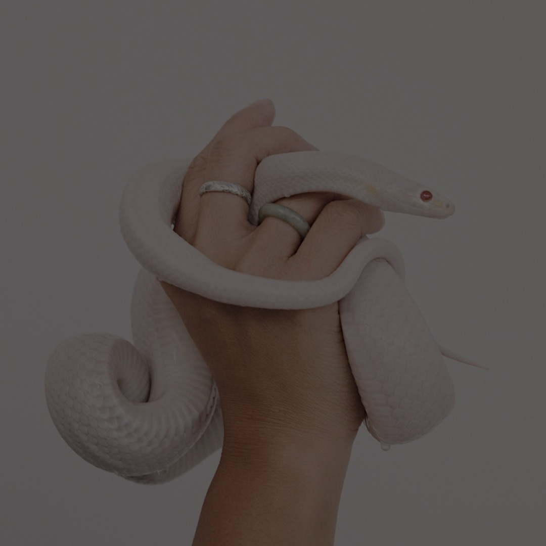 Online | Somatic Kundalini Reiki Session ☯ Do 27.03. um 19:00 thumbnail