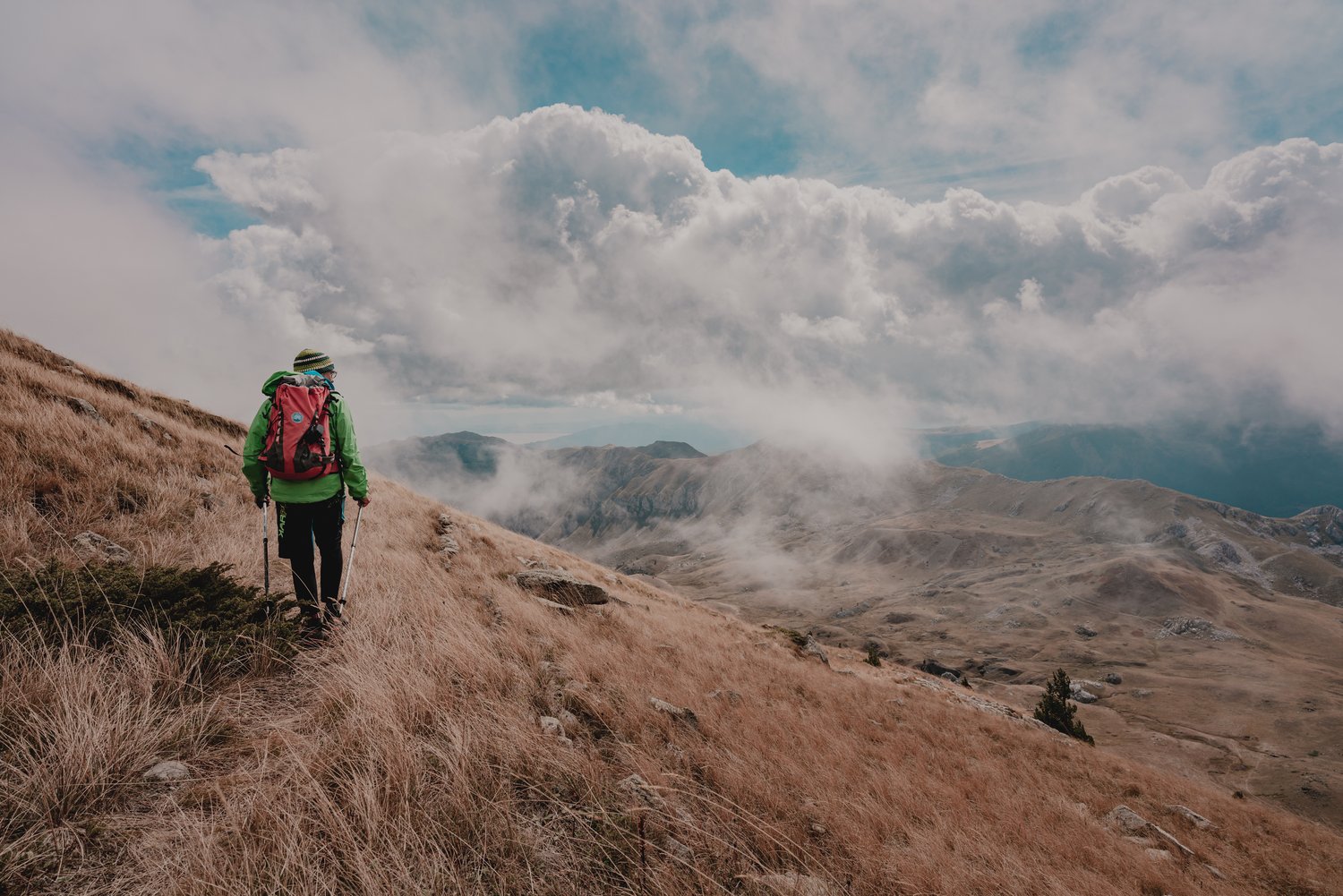 Featured in National Geographic thumbnail