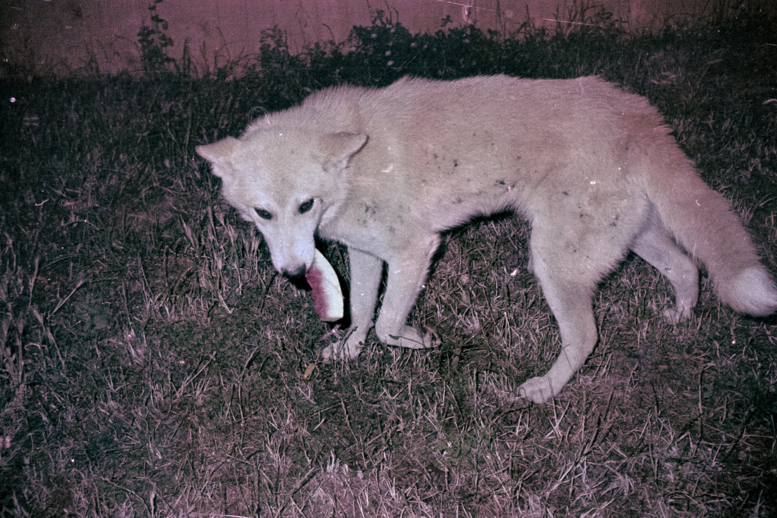 Exhibition: Interlude 23-26 April thumbnail