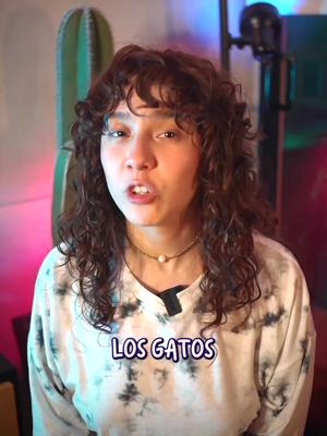 ¿Sabes si tu gato se esta alimentado bien? - Elige un alimento de buena calidad, de acuerdo a su edad y salud son sus ne