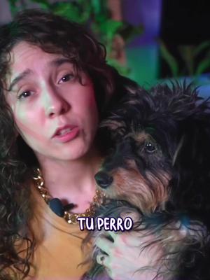 Un abrazo mágico #perrosfelices #mascotas #mascotasdetiktok #miperroyyo 