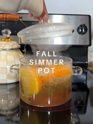 there’s truly nothing better than a fall simmer pot 🤭🍁🧸🕯️ #fall #fallsimmerpot #fallaesthetic #satisfying #asmr #organiz