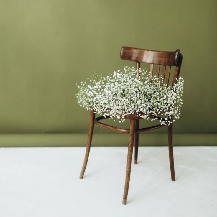 BOOK NOW: SPRING MINIS @ THE STUDIO thumbnail