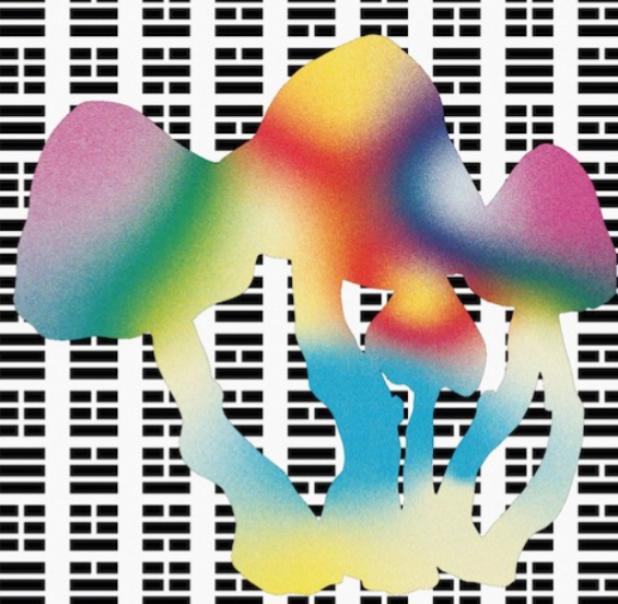 Offerta ✨ LO SCENARIO INVISIBILE di Terence McKenna, Dennis McKenna thumbnail