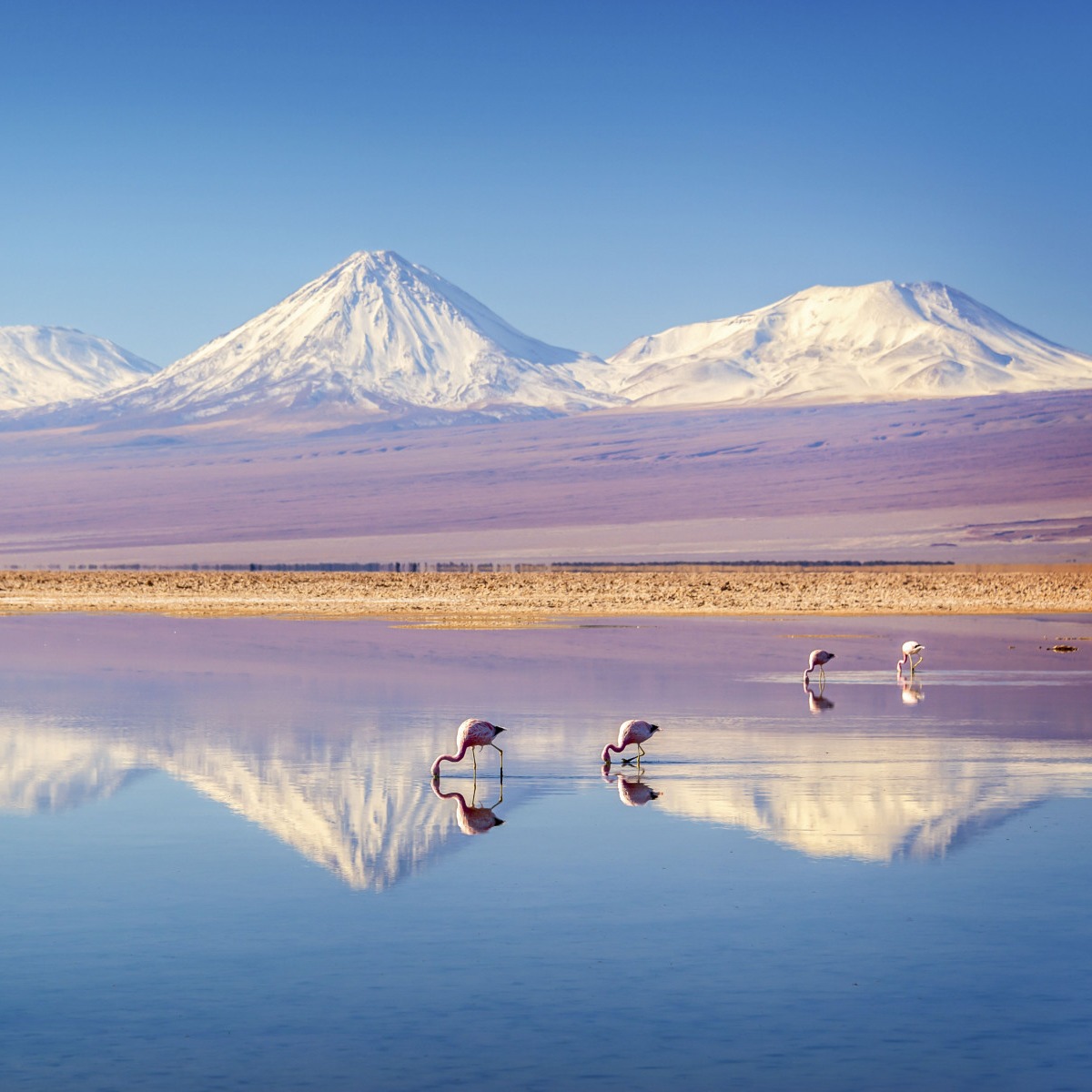 Chile | 3 dias no Atacama, com traslados, hospedagem, café da manhã e passeios. thumbnail