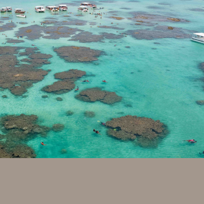 Maceió - Maragogi - Milagres, e mais. thumbnail