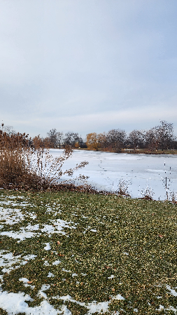 Feb 25th - Lombard Lagoon Center thumbnail