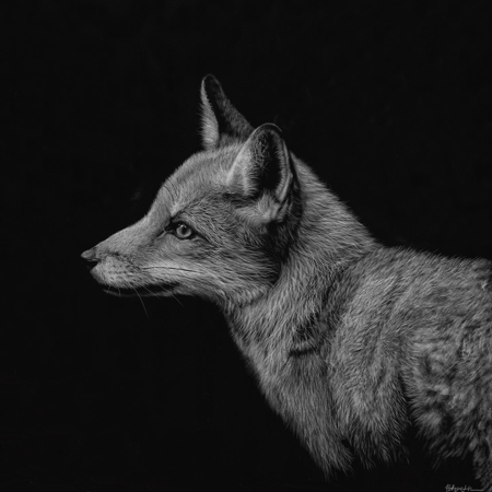 Drop Ship Prints thumbnail