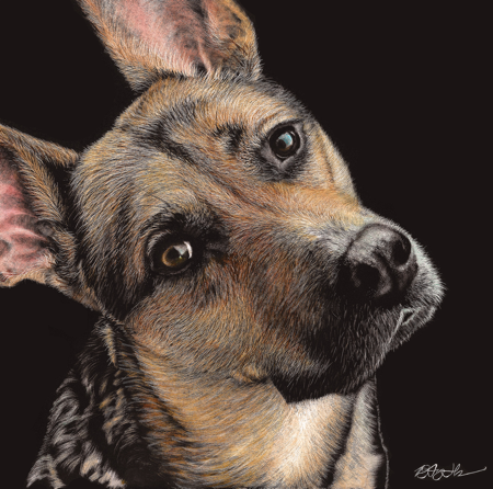 Pet Portraits thumbnail