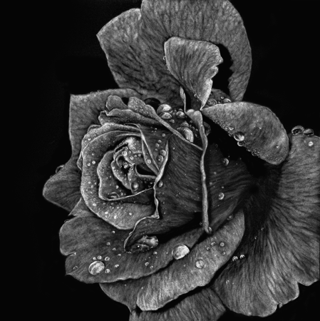 Shop Originals thumbnail