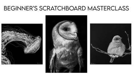 Beginner Scratchboard Masterclass-starts Feb 11! REGISTER NOW thumbnail