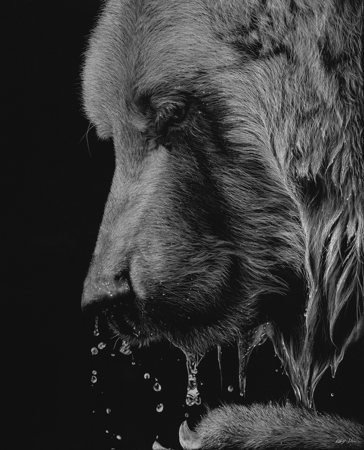 ISSA 2025 Online Exhibition thumbnail