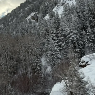 Brigton '25 thumbnail