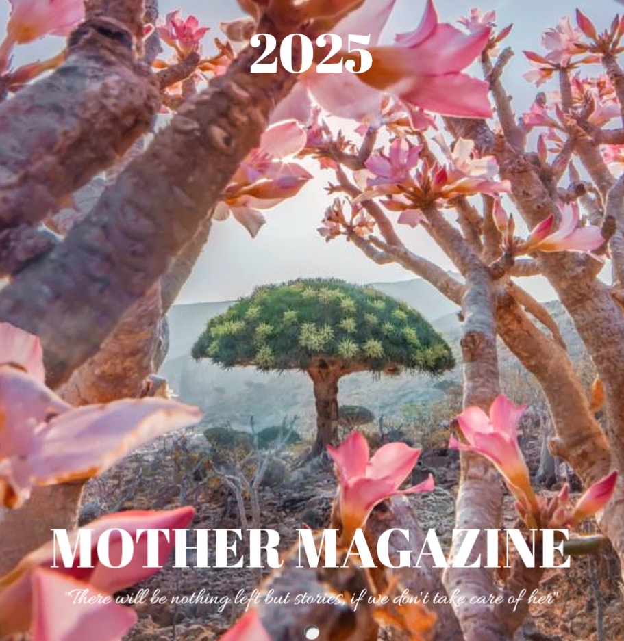 MOTHER Calendar 2025 thumbnail