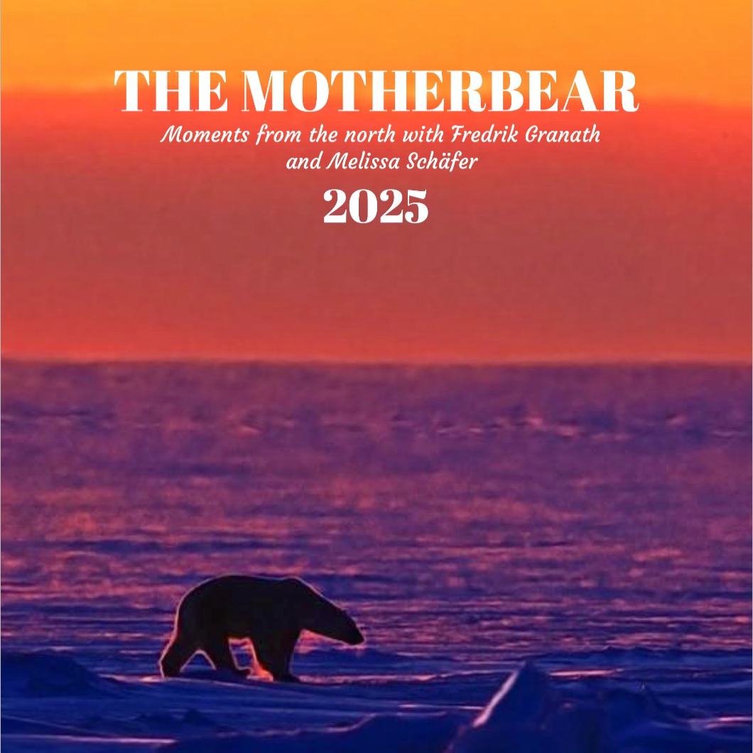 MOTHERBEAR Calendar 2025 | themotherbear thumbnail