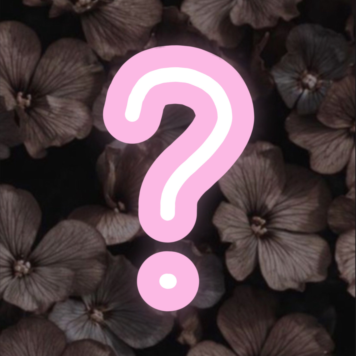 𝔄𝔰𝔨 𝔞𝔫𝔬𝔫𝔶𝔪𝔬𝔲𝔰 𝔮𝔲𝔢𝔰𝔱𝔦𝔬𝔫𝔰 thumbnail