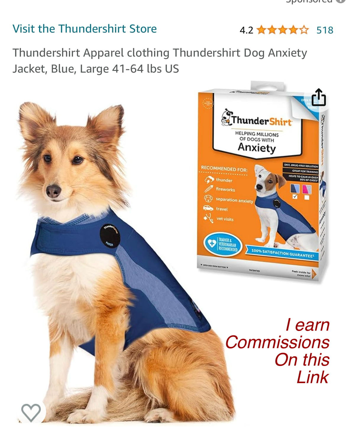 Thunder Shirt for your doggy in the winter thumbnail