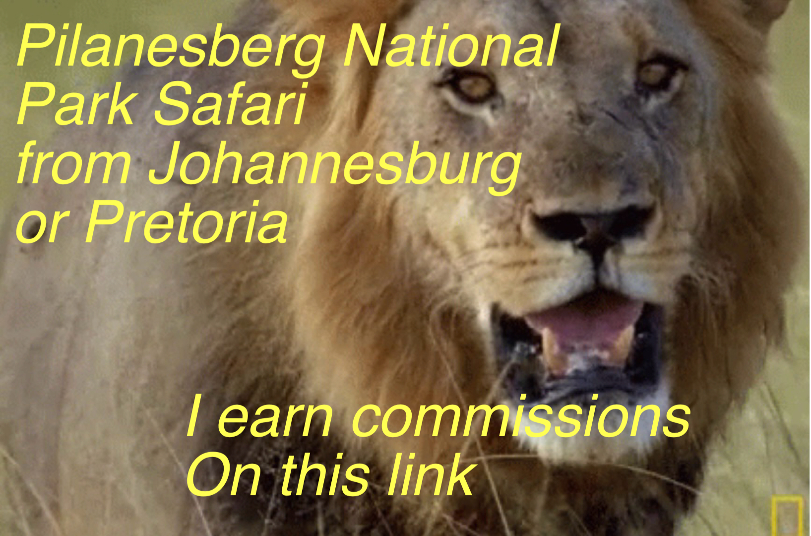 Full Day Ultimate Pilanesberg National Park Safari from Johannesburg or Pretoria, South Africa thumbnail