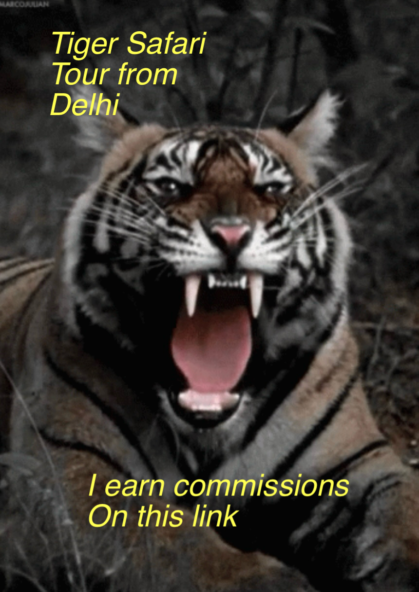 Tiger Safari Tour from Delhi thumbnail