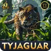 tyjaguar thumbnail