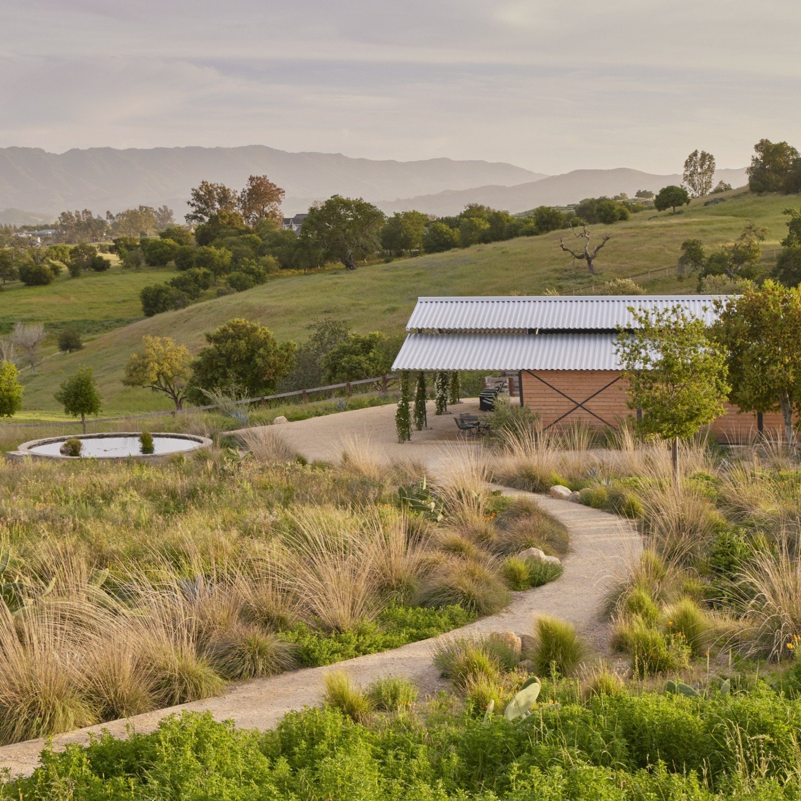 CURSO · PLANTAS DE CALIFORNIA PARA CLIMAS SECOS Y MEDITERRÁNEOS thumbnail