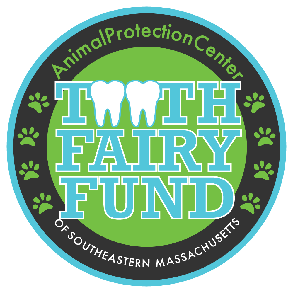 Toothfairy Fund thumbnail