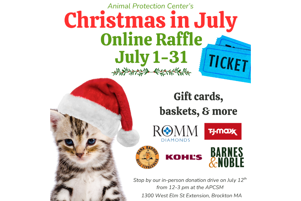 APCSM's Christmas in July Raffle thumbnail