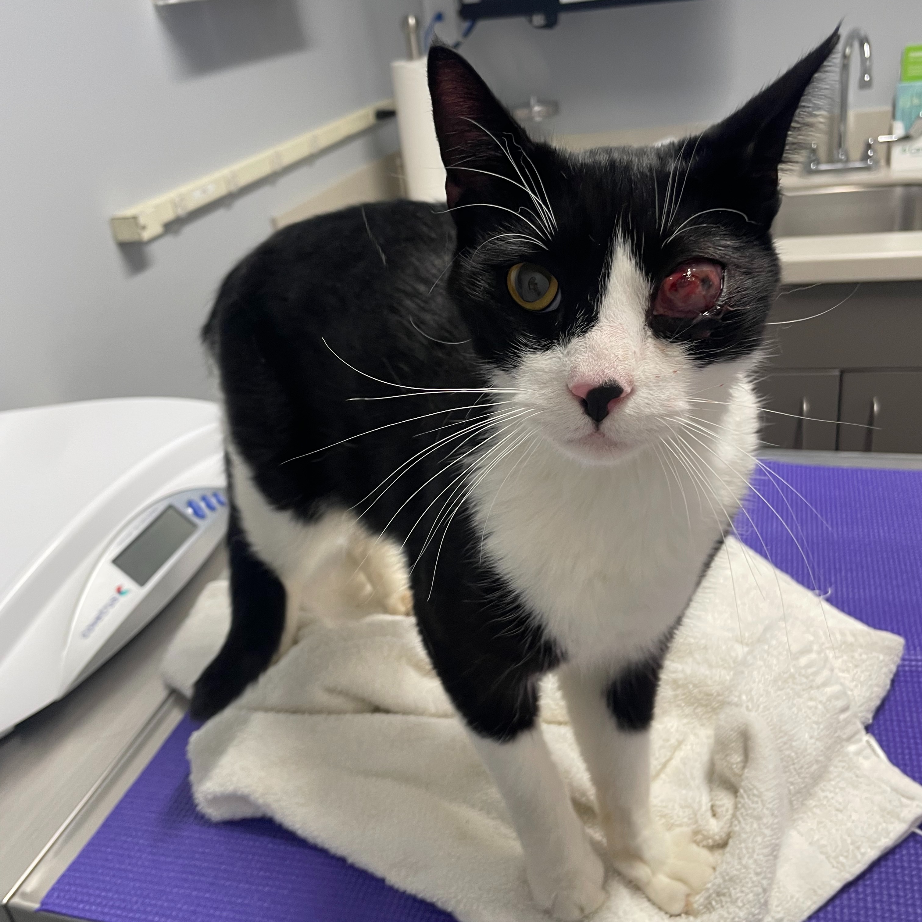 Life is Precious Fund thumbnail