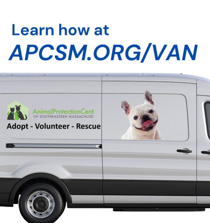 Van Photo Contest thumbnail