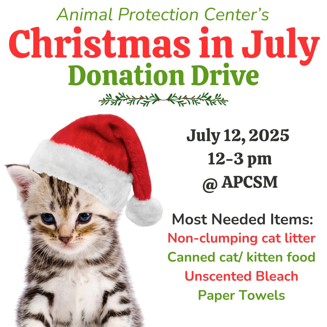 Christmas in July Donation Drive thumbnail