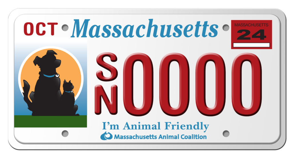 License Plate Program thumbnail