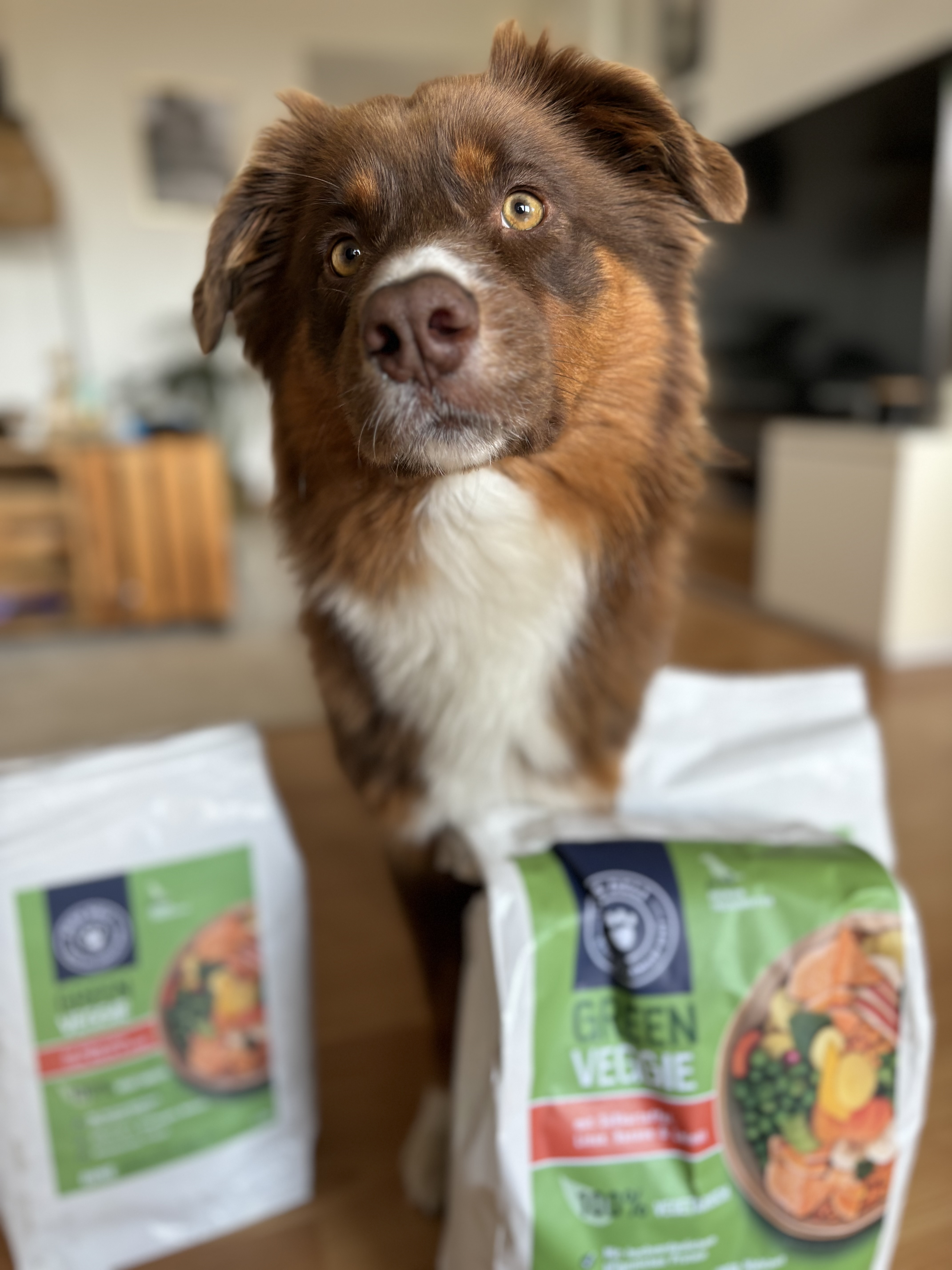 Pets-Deli (20% für Neukunden & ab einem MBW von 40€) thumbnail