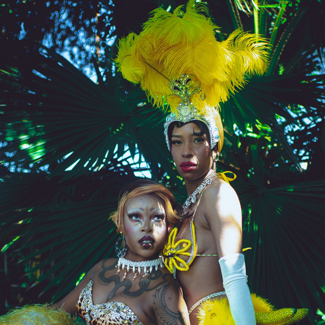 The Art of The Tease- Burlesque Portraits by Snake & Dagger Portraits thumbnail