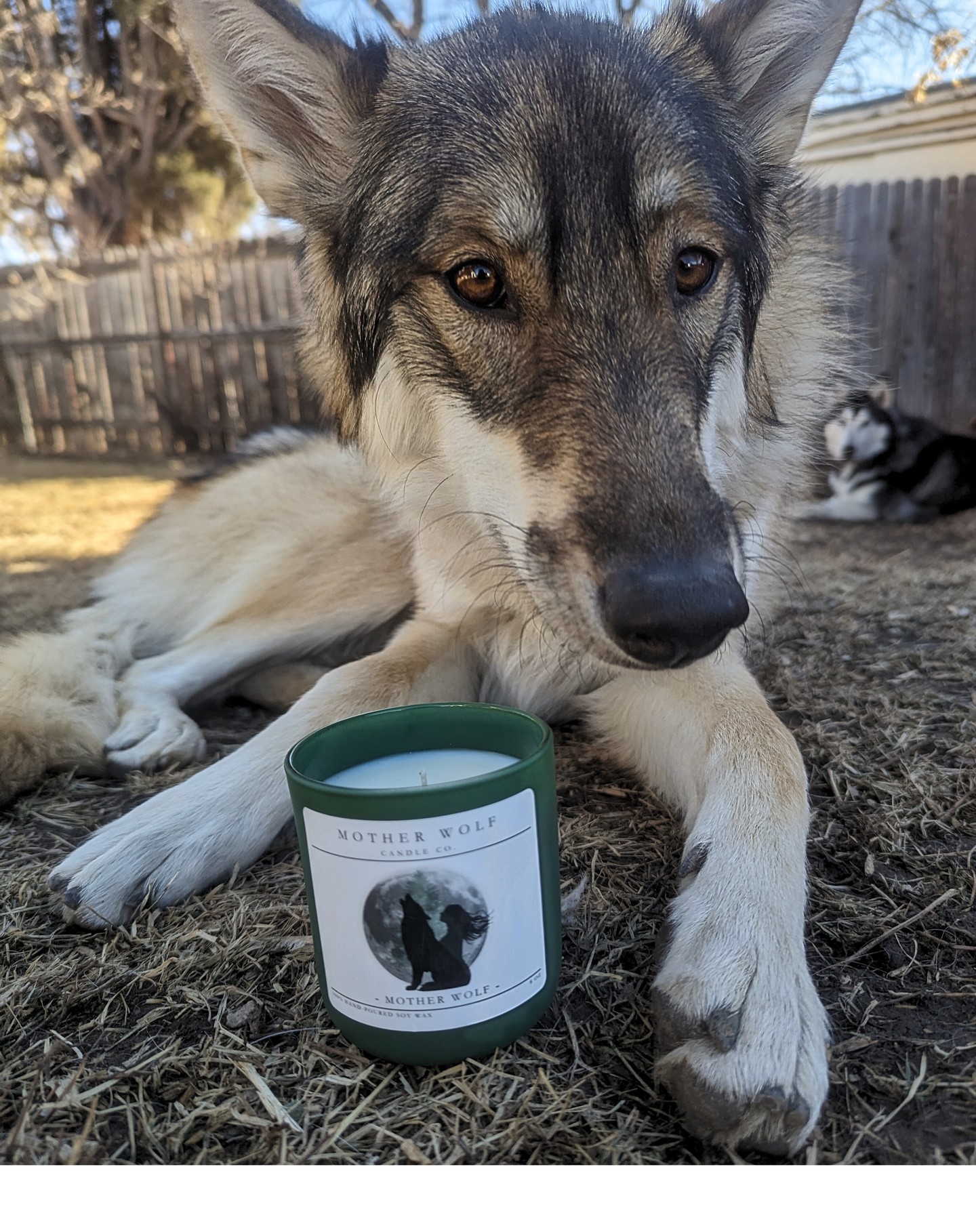 Our name, Mother Wolf Candle Co., and scent blends are inspired by outdoor adventures with our three husky pups. This is
