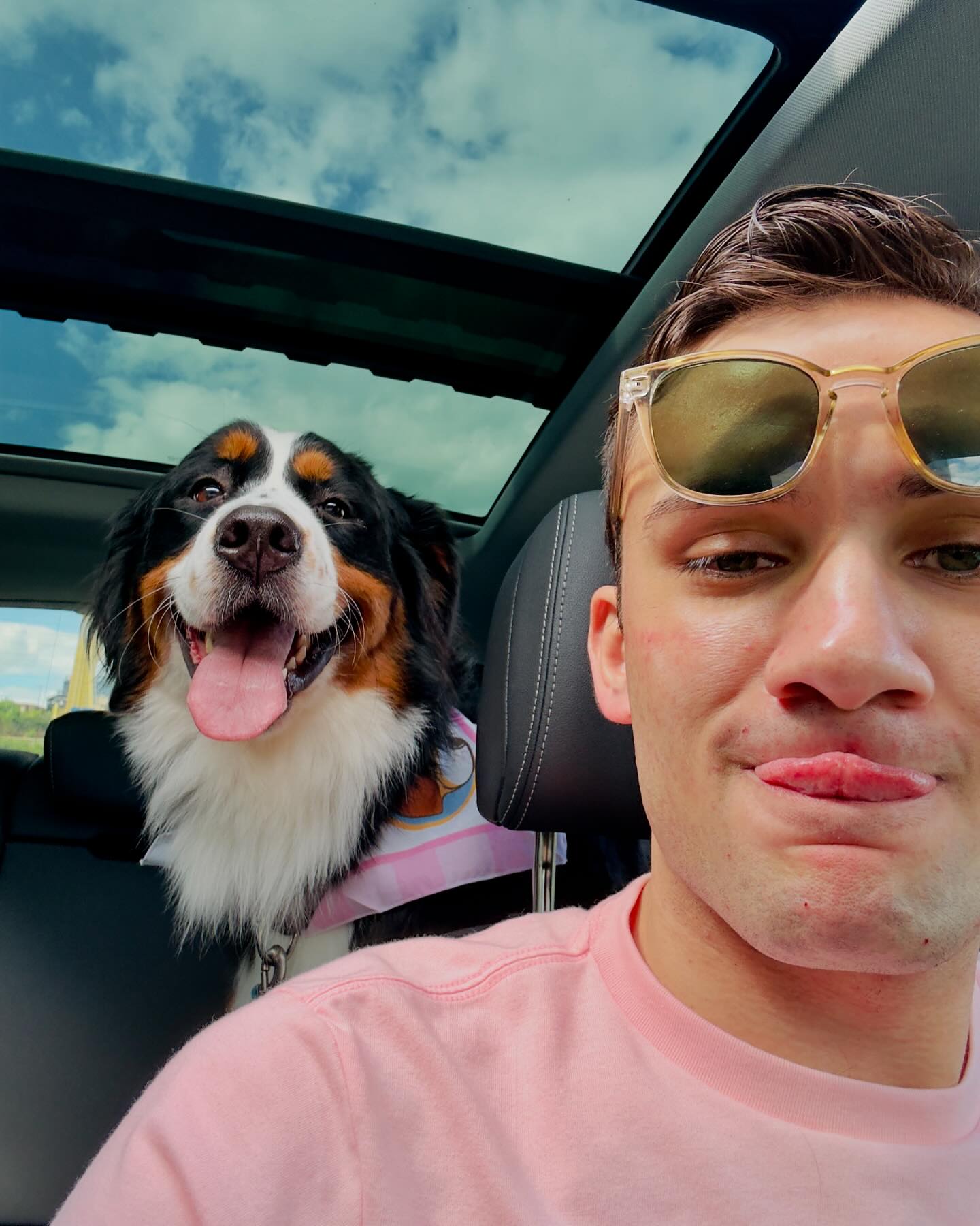 Who did it better? 👅🐾❤️ @athena_the_bern is my shadow