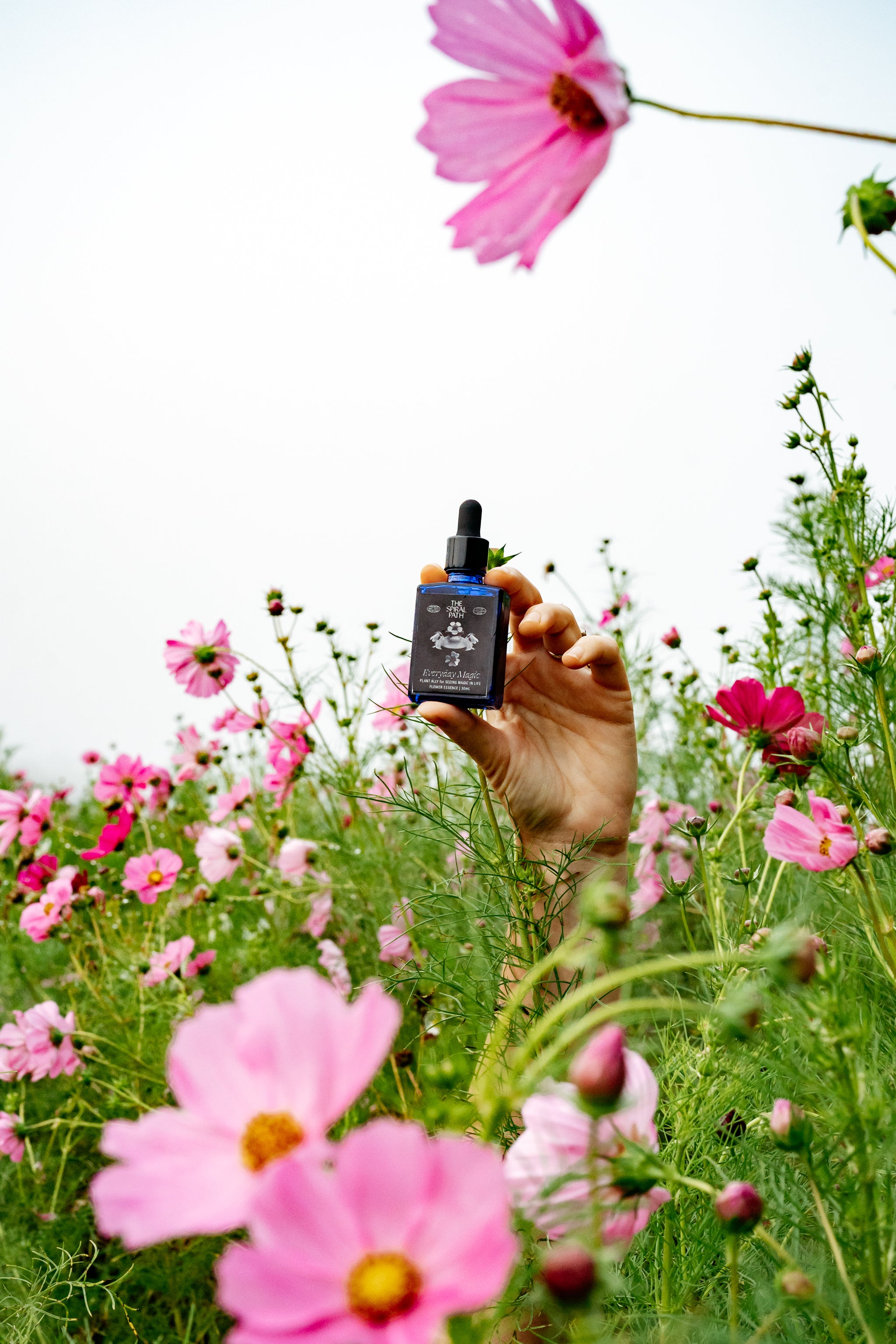 The Living Myth - pre-order our flower essence created with Samantha of The Spiral Path here thumbnail
