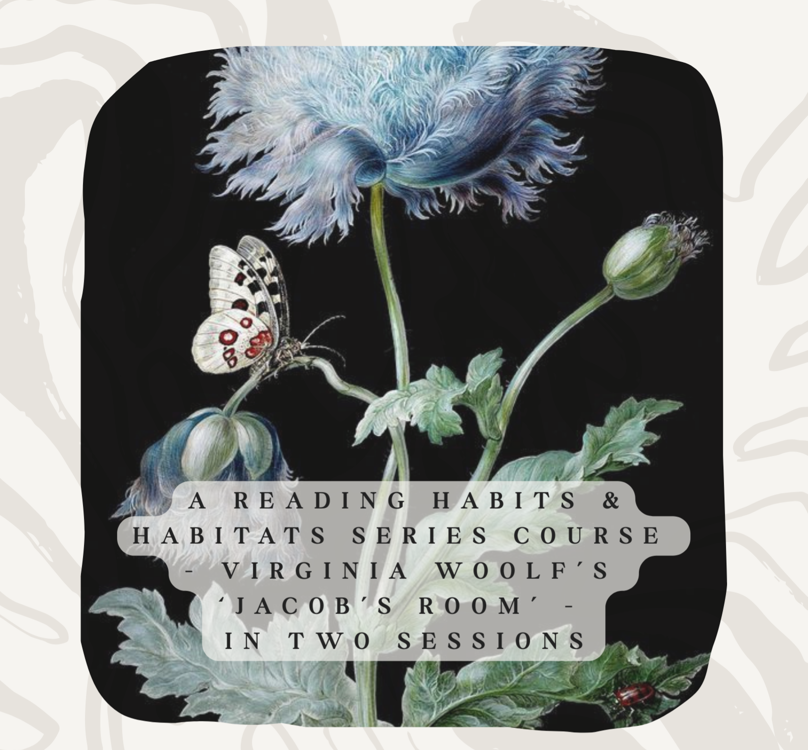 Habits & Habitats - a creative reading and writing course : through conversations around extracts and art we create practices that help and influence your creative mind and endeavours. Email/DM us for full details  thumbnail