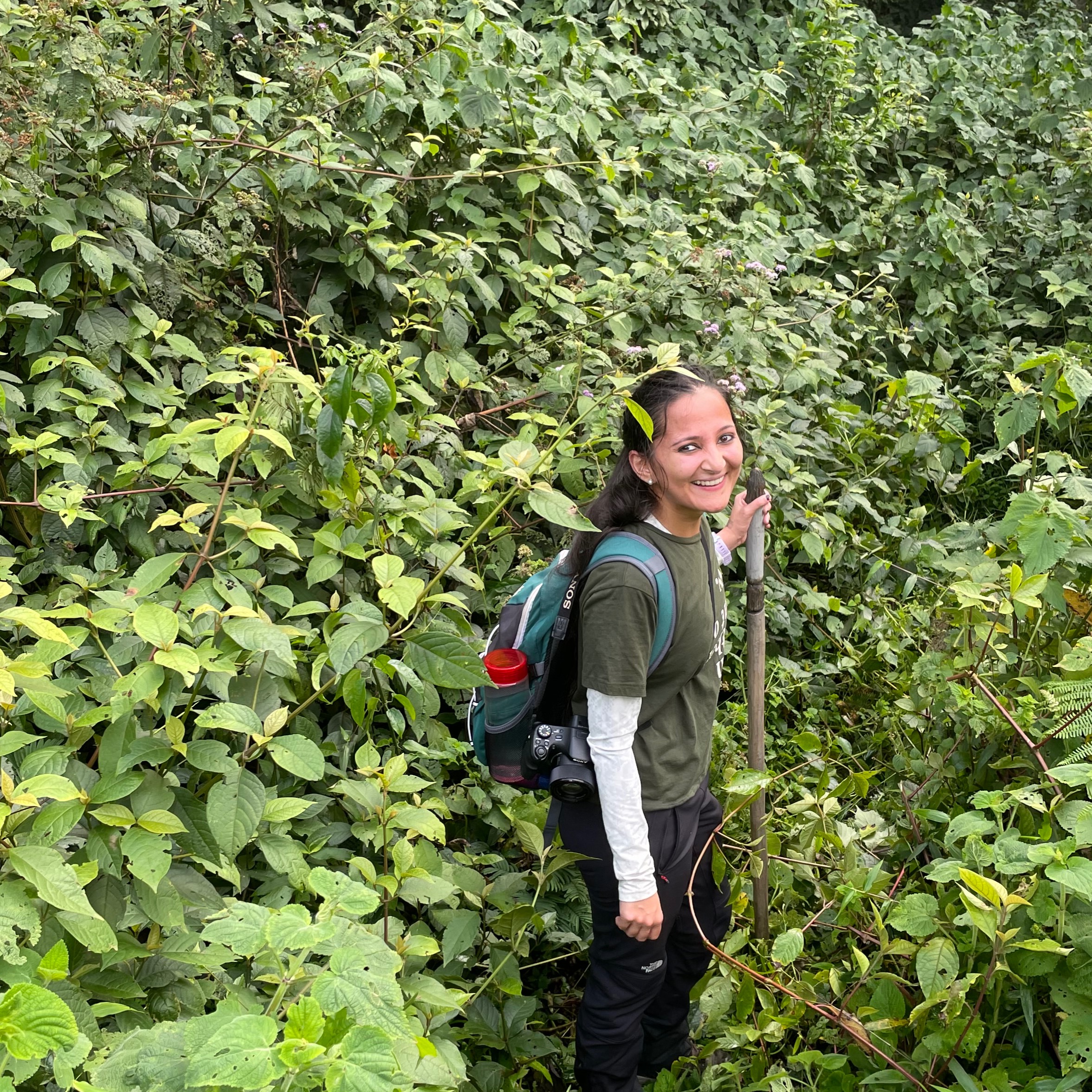 MAY 27 - 3 JUN 2026 | SMALL GROUP TRIP TO MADAGASCAR thumbnail