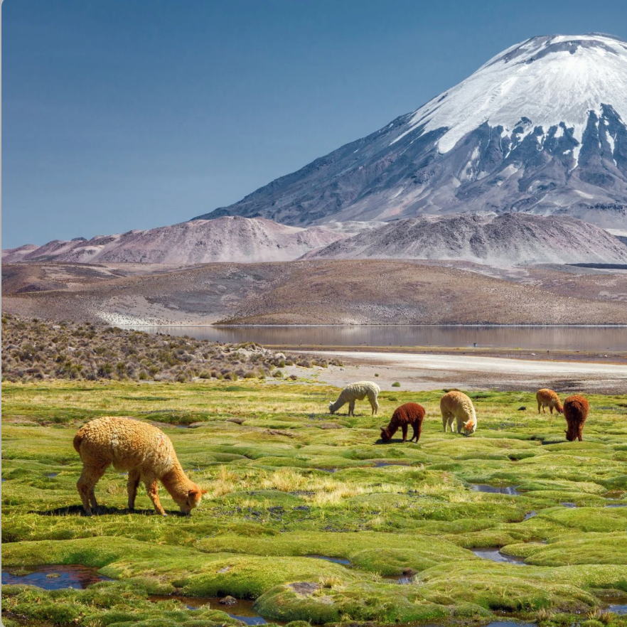 JUNE 1 - 7, 2026 | GROUP TRIP TO CHILE  thumbnail