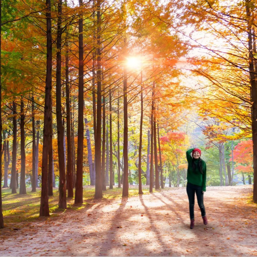 OCT 17-24, 2026 | GROUP TRIP TO SOUTH KOREA  thumbnail