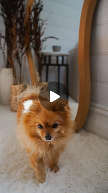 Lifely thumbnail
