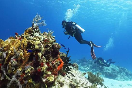 Buceo thumbnail