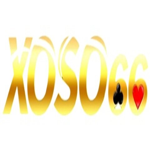 xoso66vnacom Profile and Collections - Wakelet thumbnail
