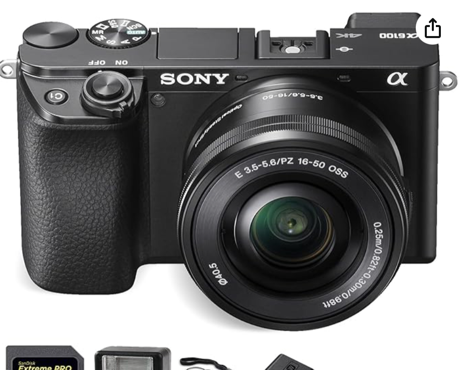 Sony Alpha A6100 thumbnail