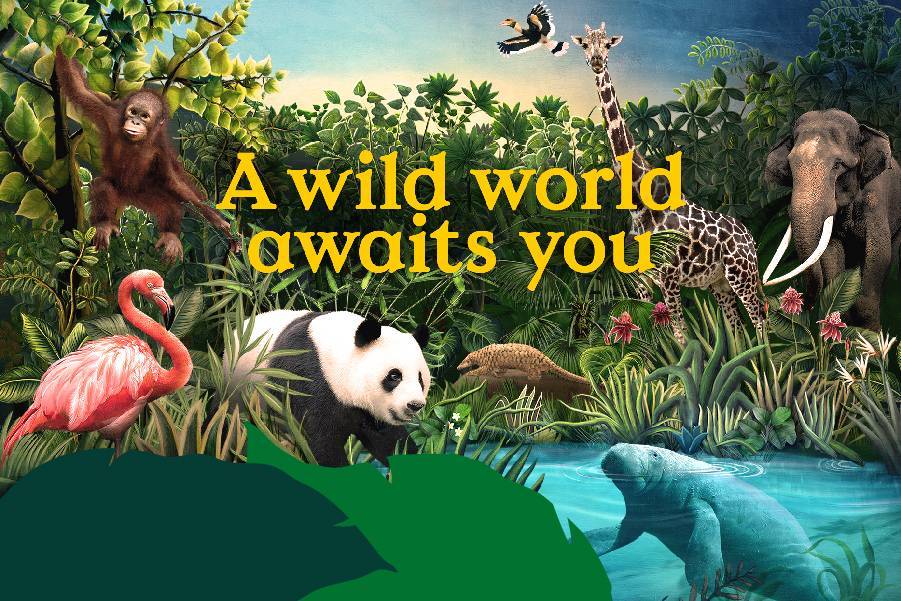 ❌ Mandai Wildlife Reserve e-Tickets GB #1 thumbnail