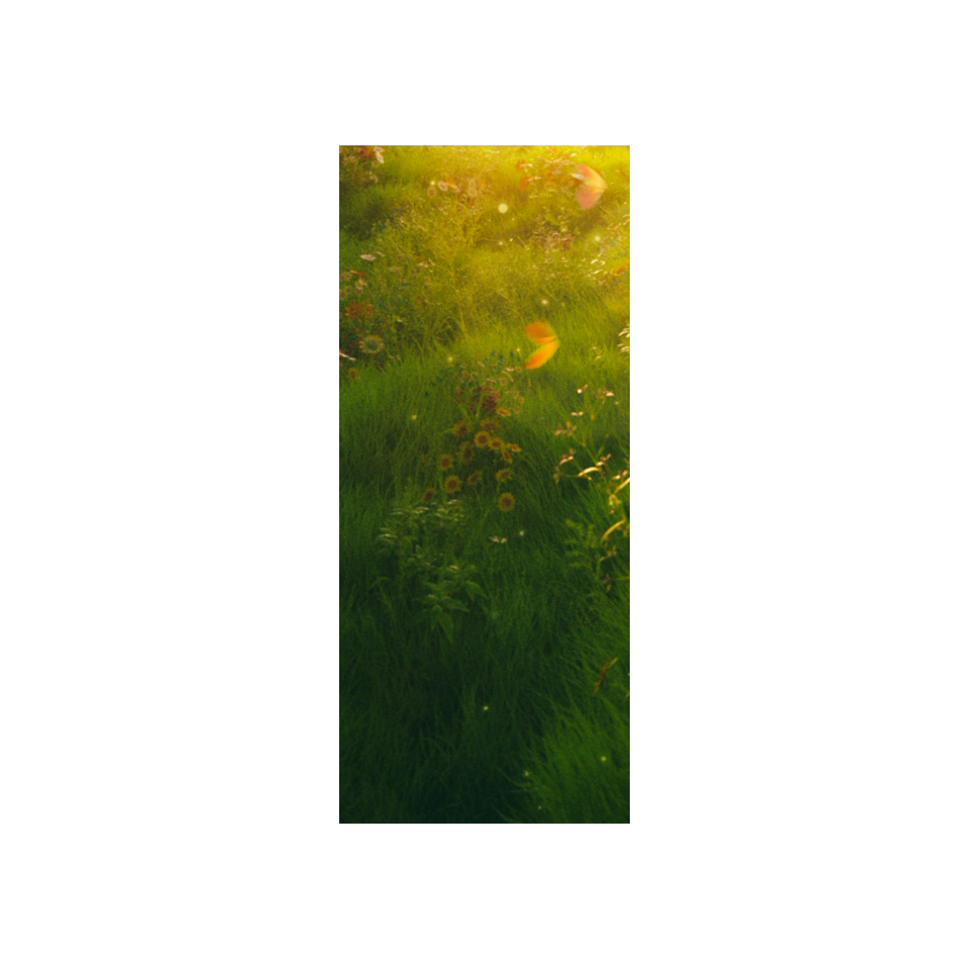 Demo Roll 2 (2016-2019) thumbnail