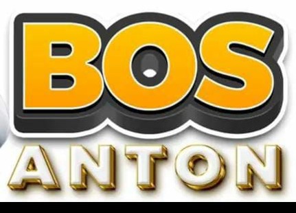 VIP BOSANTON thumbnail