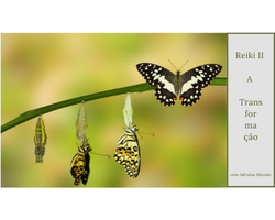 Reiki Usui - Nível II - A Transformação  thumbnail