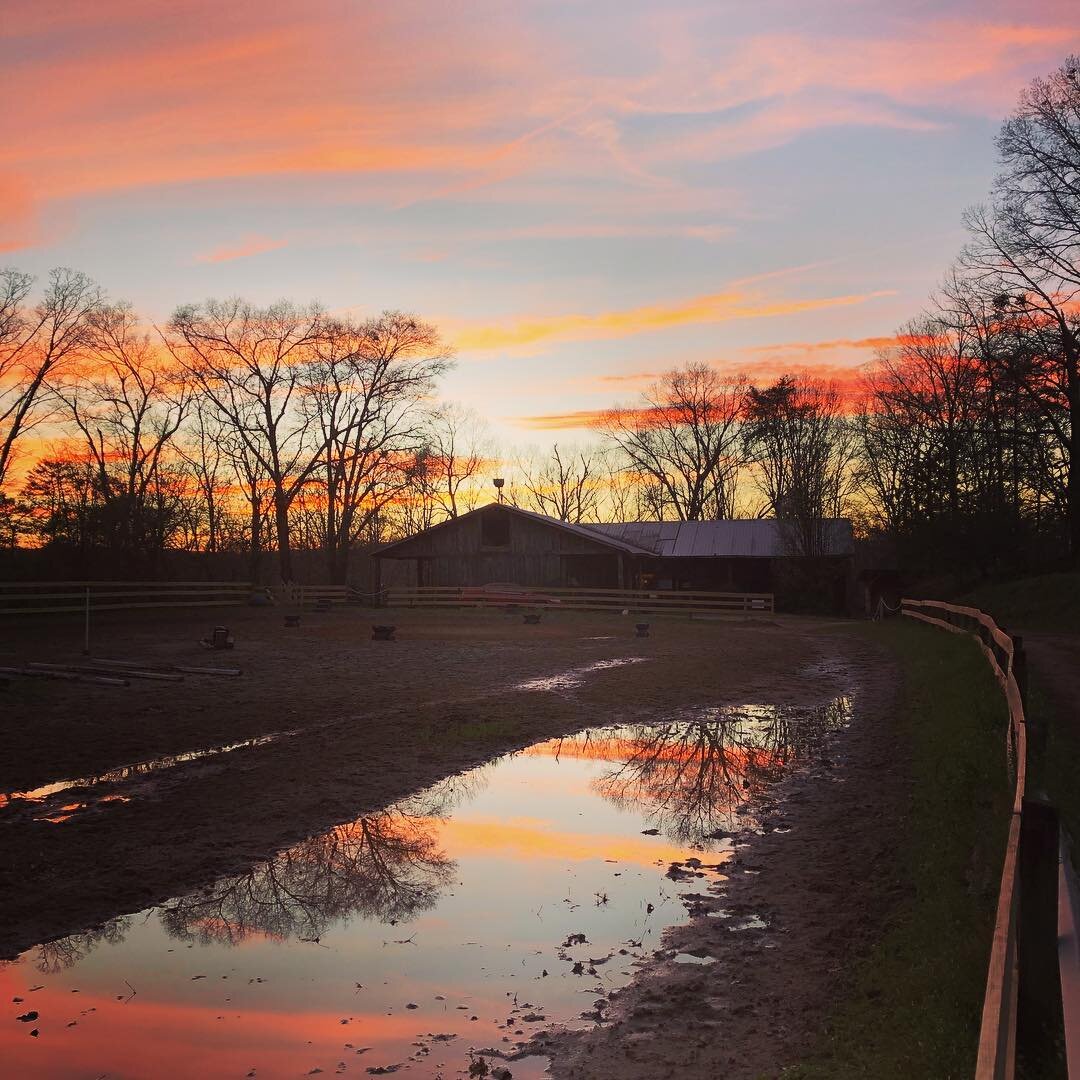 Bramblewood Stables thumbnail