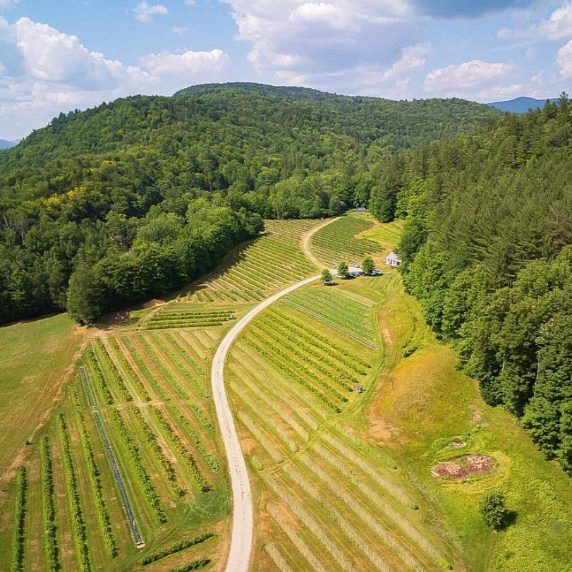 Rochester, VT $275,000 thumbnail